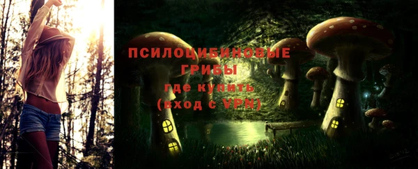 хмурый Алексеевка