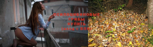 хмурый Алексеевка
