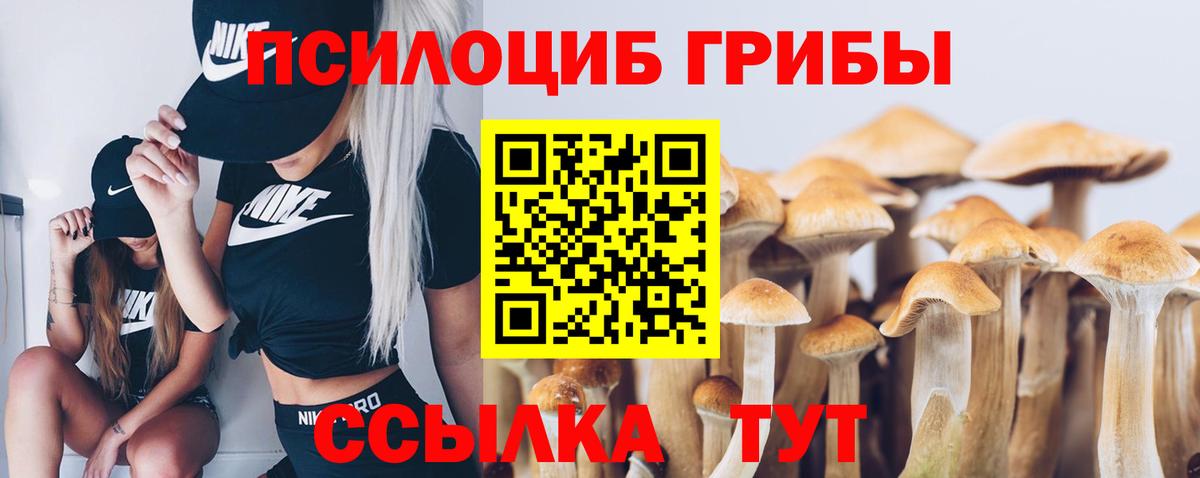 Галлюциногенные грибы мухоморы Одинцово